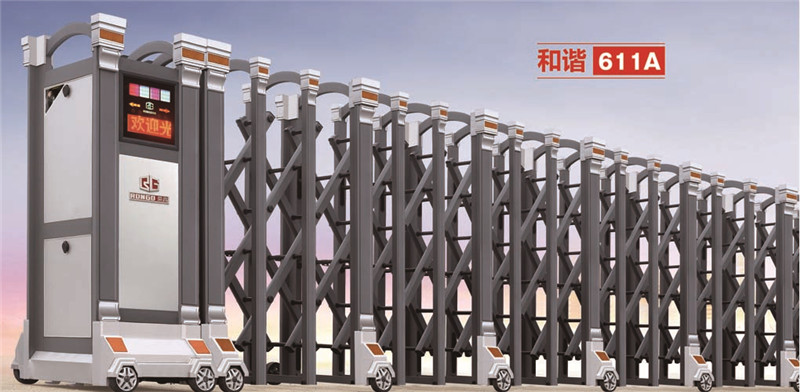 1-2105311STA24.jpg