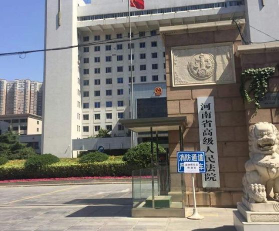 河南省高级人民法院项目